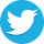 twitter icon